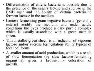 • Differentiation of enteric bacteria is possible due to
the presence of the sugars lactose and sucrose in the
EMB agar and the ability of certain bacteria to
ferment lactose in the medium.
• Lactose-fermenting gram-negative bacteria (generally
enteric) acidify the medium, and under acidic
conditions the dyes produce a dark purple complex
which is usually associated with a green metallic
sheen.
• This metallic green sheen is an indicator of vigorous
lactose and/or sucrose fermentation ability typical of
fecal coliforms.
• A smaller amount of acid production, which is a result
of slow fermentation (by slow lactose-fermenting
organisms), gives a brown-pink coloration of
growth.
 