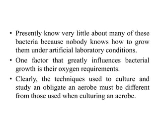 • Presently know very little about many of these
bacteria because nobody knows how to grow
them under artificial laboratory conditions.
• One factor that greatly influences bacterial
growth is their oxygen requirements.
• Clearly, the techniques used to culture and
study an obligate an aerobe must be different
from those used when culturing an aerobe.
 