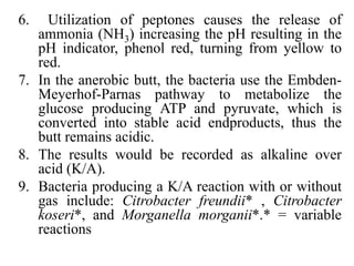 6. Utilization of peptones causes the release of
ammonia (NH3) increasing the pH resulting in the
pH indicator, phenol red, turning from yellow to
red.
7. In the anerobic butt, the bacteria use the Embden-
Meyerhof-Parnas pathway to metabolize the
glucose producing ATP and pyruvate, which is
converted into stable acid endproducts, thus the
butt remains acidic.
8. The results would be recorded as alkaline over
acid (K/A).
9. Bacteria producing a K/A reaction with or without
gas include: Citrobacter freundii* , Citrobacter
koseri*, and Morganella morganii*.* = variable
reactions
 