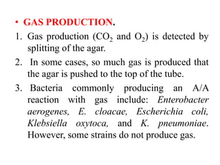 • GAS PRODUCTION.
1. Gas production (CO2 and O2) is detected by
splitting of the agar.
2. In some cases, so much gas is produced that
the agar is pushed to the top of the tube.
3. Bacteria commonly producing an A/A
reaction with gas include: Enterobacter
aerogenes, E. cloacae, Escherichia coli,
Klebsiella oxytoca, and K. pneumoniae.
However, some strains do not produce gas.
 