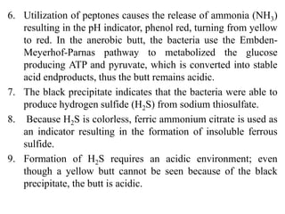 6. Utilization of peptones causes the release of ammonia (NH3)
resulting in the pH indicator, phenol red, turning from yellow
to red. In the anerobic butt, the bacteria use the Embden-
Meyerhof-Parnas pathway to metabolized the glucose
producing ATP and pyruvate, which is converted into stable
acid endproducts, thus the butt remains acidic.
7. The black precipitate indicates that the bacteria were able to
produce hydrogen sulfide (H2S) from sodium thiosulfate.
8. Because H2S is colorless, ferric ammonium citrate is used as
an indicator resulting in the formation of insoluble ferrous
sulfide.
9. Formation of H2S requires an acidic environment; even
though a yellow butt cannot be seen because of the black
precipitate, the butt is acidic.
 
