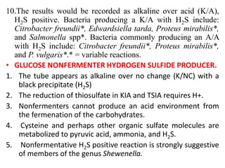 10.The results would be recorded as alkaline over acid (K/A),
H2S positive. Bacteria producing a K/A with H2S include:
Citrobacter freundii*, Edwardsiella tarda, Proteus mirabilis*,
and Salmonella spp*. Bacteria commonly producing an A/A
with H2S include: Citrobacter freundii*, Proteus mirabilis*,
and P. vulgaris*.* = variable reactions.
• GLUCOSE NONFERMENTER HYDROGEN SULFIDE PRODUCER.
1. The tube appears as alkaline over no change (K/NC) with a
black precipitate (H2S)
2. The reduction of thiosulfate in KIA and TSIA requires H+.
3. Nonfermenters cannot produce an acid environment from
the fermenation of the carbohydrates.
4. Cysteine and perhaps other organic sulfate molecules are
metabolized to pyruvic acid, ammonia, and H2S.
5. Nonfermentative H2S positive reaction is strongly suggestive
of members of the genus Shewenella.
 