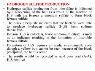 • HYDROGEN SULFIDE PRODUCTION
• Hydrogen sulfide production from thiosulfate is indicated
by a blackening of the butt as a result of the reaction of
H2S with the ferrous ammonium sulfate to form black
ferrous sulfide.
• The black precipitate indicates that the bacteria were able
to produce hydrogen sulfide (H2S) from sodium
thiosulfate.
• Because H2S is colorless, ferric ammonium citrate is used
as an indicator resulting in the formation of insoluble
ferrous sulfide.
• Formation of H2S requires an acidic environment; even
though a yellow butt cannot be seen because of the black
precipitate, the butt is acidic.
• The results would be recorded as acid over acid (A/A),
H2S positive
 