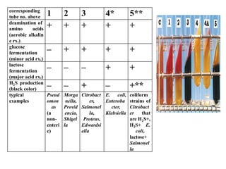 corresponding
tube no. above 1 2 3 4* 5**
deamination of
amino acids
(aerobic alkalin
e rx.)
+ + + + +
glucose
fermentation
(minor acid rx.)
– + + + +
lactose
fermentation
(major acid rx.)
– – – + +
H2S production
(black color) – – + – +**
typical
examples
Pseud
omon
as
(a
non-
enteri
c)
Morga
nella,
Provid
encia,
Shigel
la
Citrobact
er,
Salmonel
la,
Proteus,
Edwardsi
ella
E. coli,
Enteroba
cter,
Klebsiella
coliform
strains of
Citrobact
er that
are H2S+,
H2S+ E.
coli,
lactose+
Salmonel
la
 