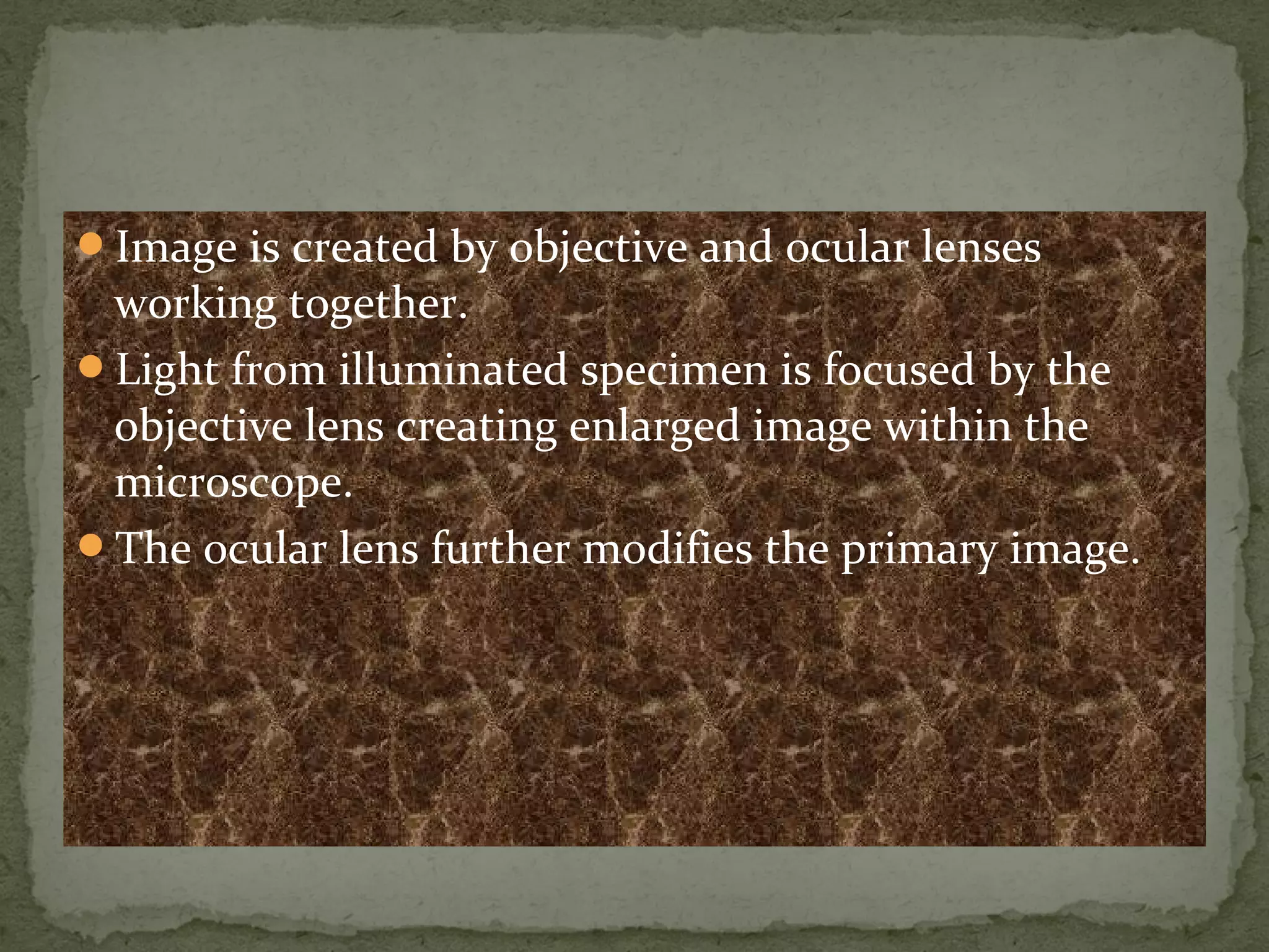Image is created by objective and ocular lenses
working together.
Light from illuminated specimen is focused by the
objective lens creating enlarged image within the
microscope.
The ocular lens further modifies the primary image.
 