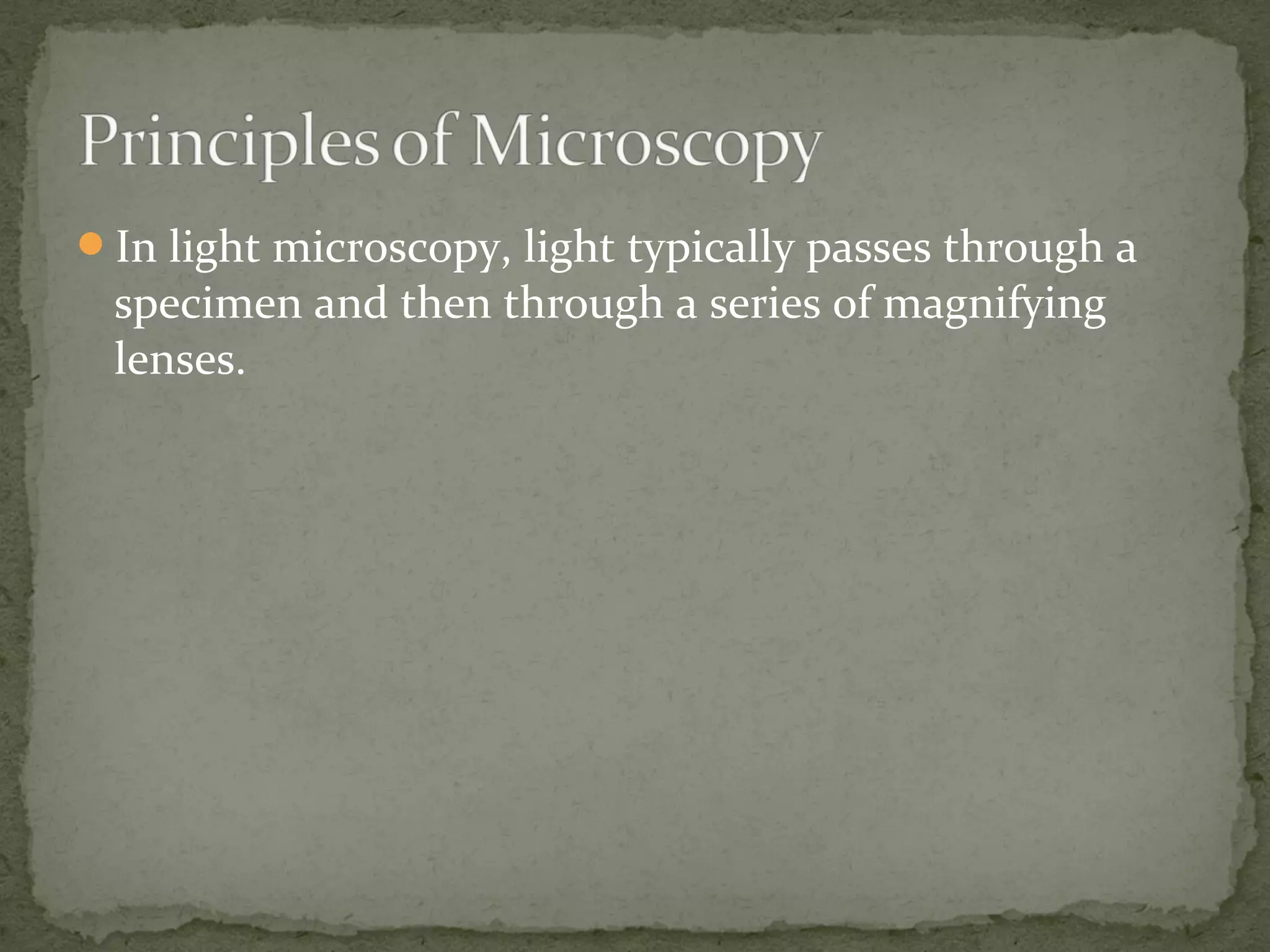 In light microscopy, light typically passes through a
specimen and then through a series of magnifying
lenses.
 