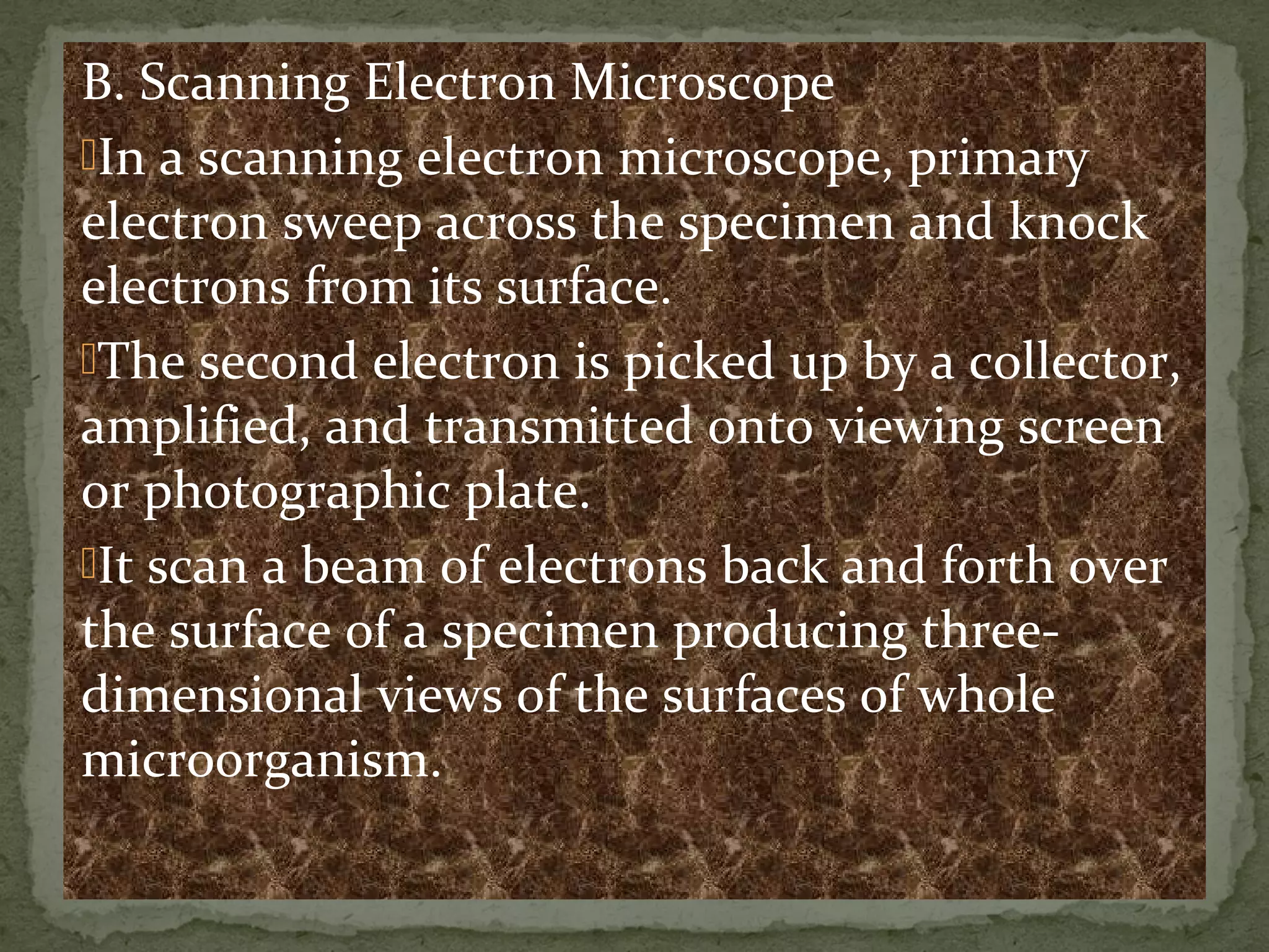 B. Scanning Electron Microscope
In a scanning electron microscope, primary
electron sweep across the specimen and knock
electrons from its surface.
The second electron is picked up by a collector,
amplified, and transmitted onto viewing screen
or photographic plate.
It scan a beam of electrons back and forth over
the surface of a specimen producing three-
dimensional views of the surfaces of whole
microorganism.
 