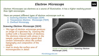 Electron Microscope
Electron Microscopes use electrons as a source of illumination. It has a higher resolving power
than light microscopes.
There are present different types of electron microscope such as;
1. Scanning Electron Microscope (SEM)
2. Transmission Electron Microscope (TEM)
3. Confocal Microscopy
Scanning Electron Microscope (SEM)
• This type of electron microscope produces
an image of a specimen by scanning the
surface with a focused beam of electrons.
The electrons interact with atoms in the
sample, producing various signals that
contain information about the surface
topography and composition of the
sample.
• Used to study the surface area of
microorganisms in detail.
MN
Microbiologynote.com
Image of specimen within Scanning Electron
Microscope (SEM)
 