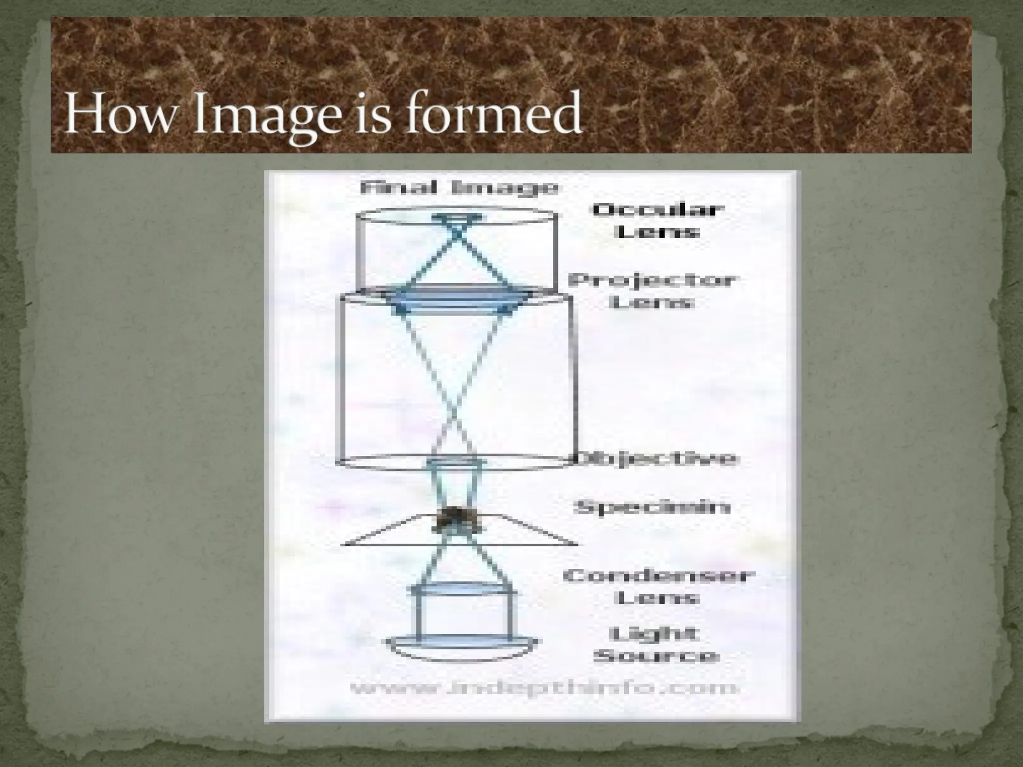 TYPES OF MICROSCOPE.pptx And Principles of Microscopy | PPTX