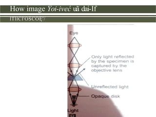 Microscope Design Principles TYPES OF MICROSCOPE.pptx And Principles of Microscopy | PPTX