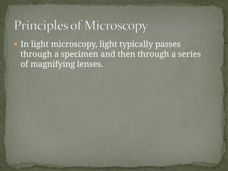 TYPES OF MICROSCOPE.pptx And Principles of Microscopy | PPTX