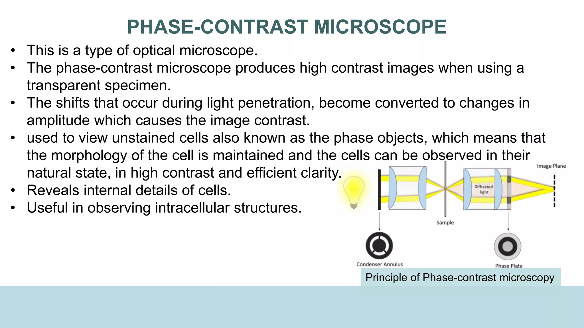 Types of Microscope | PPTX
