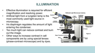 ILLUMINATION
• Effective illumination is required for efficient
magnification and resolving power.
• Artificial light from a tungsten lamp is the
most commonly used light source in
microscopy.
• Iris diaphragm regulates the amount of light
entering the condenser.
• Too much light can reduce contrast and burn
out the image.
• Other ways to increase contrast in cell
components are by using special lenses
(phase-contrast microscope) and by dyes.
 