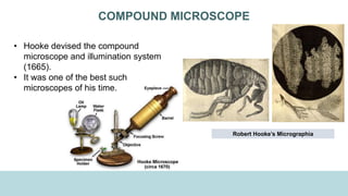 COMPOUND MICROSCOPE
• Hooke devised the compound
microscope and illumination system
(1665).
• It was one of the best such
microscopes of his time.
Robert Hooke’s Micrographia
 