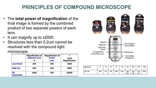 PRINCIPLES OF COMPOUND MICROSCOPE
• The total power of magnification of the
final image is formed by the combined
product of two separate powers of each
lens.
• It can magnify up to x2000.
• Structures less than 0.2um cannot be
resolved with the compound light
microscope.
 