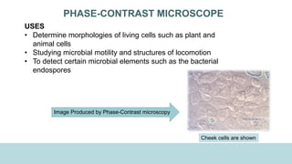 PHASE-CONTRAST MICROSCOPE
USES
• Determine morphologies of living cells such as plant and
animal cells
• Studying microbial motility and structures of locomotion
• To detect certain microbial elements such as the bacterial
endospores
Image Produced by Phase-Contrast microscopy
Cheek cells are shown
 