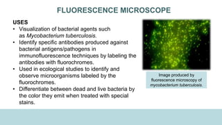FLUORESCENCE MICROSCOPE
USES
• Visualization of bacterial agents such
as Mycobacterium tuberculosis.
• Identify specific antibodies produced against
bacterial antigens/pathogens in
immunofluorescence techniques by labeling the
antibodies with fluorochromes.
• Used in ecological studies to identify and
observe microorganisms labeled by the
fluorochromes.
• Differentiate between dead and live bacteria by
the color they emit when treated with special
stains.
Image produced by
fluorescence microscopy of
mycobacterium tuberculosis.
 