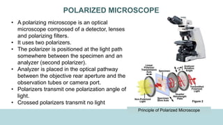 POLARIZED MICROSCOPE
• A polarizing microscope is an optical
microscope composed of a detector, lenses
and polarizing filters.
• It uses two polarizers.
• The polarizer is positioned at the light path
somewhere between the specimen and an
analyzer (second polarizer).
• Analyzer is placed in the optical pathway
between the objective rear aperture and the
observation tubes or camera port.
• Polarizers transmit one polarization angle of
light.
• Crossed polarizers transmit no light
Principle of Polarized Microscope
 