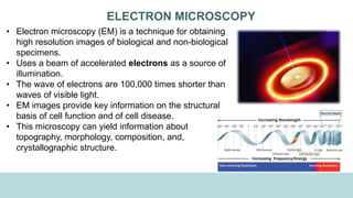 ELECTRON MICROSCOPY
• Electron microscopy (EM) is a technique for obtaining
high resolution images of biological and non-biological
specimens.
• Uses a beam of accelerated electrons as a source of
illumination.
• The wave of electrons are 100,000 times shorter than
waves of visible light.
• EM images provide key information on the structural
basis of cell function and of cell disease.
• This microscopy can yield information about
topography, morphology, composition, and,
crystallographic structure.
 