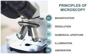 MAGNIFICATION
RESOLUTION
NUMERICAL APERTURE
ILLUMINATION
PRINCIPLES OF
MICROSCOPY
ABERRATION
01
02
03
04
05
 