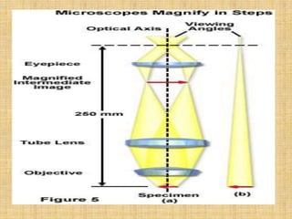 Lectures Notes Types of microscopes.pptx