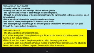 12
THE ANNULAR DIAPHRAGM
- situated below the condenser.
-made up of a circular disc having a circular annular groove.
-The light rays are allowed to pass through the annular groove.
-Through the annular groove of the annular diaphragm, the light rays fall on the specimen or object
to be studied.
-At the back focal plane of the objective develops an image.
-The annular phase plate is placed at this back focal plane.
-The direct light rays pass through the annular groove whereas the diffracted light rays pass
through the region outside the groove.
THE PHASE PLATE
-The phase plate is a transparent disc.
-It is either a negative phase plate having a thick circular area or a positive phase plate
having a thin circular groove.
-This thick or thin area in the phase plate is called the conjugate area.
-Depending upon the different refractive indices of different cell components, the object to
be studied shows a different degree of contrast in this microscope
 