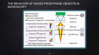 16
THE BEHAVIOR OF WAVES FROM PHASE OBJECTS IN
MICROSCOPY
 