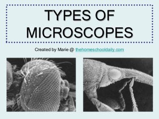 TYPES OF
MICROSCOPES
Created by Marie @ thehomeschooldaily.com
 