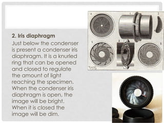 2. Iris diaphragm
Just below the condenser
is present a condenser iris
diaphragm. It is a knurled
ring that can be opened
and closed to regulate
the amount of light
reaching the specimen.
When the condenser iris
diaphragm is open, the
image will be bright.
When it is closed the
image will be dim.
 