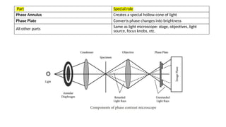 Annulus Microscope TYPES OF MICROSCOPY and how we should use them | PPTX