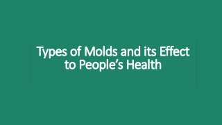 Types of Molds and its Effect
to People’s Health
 