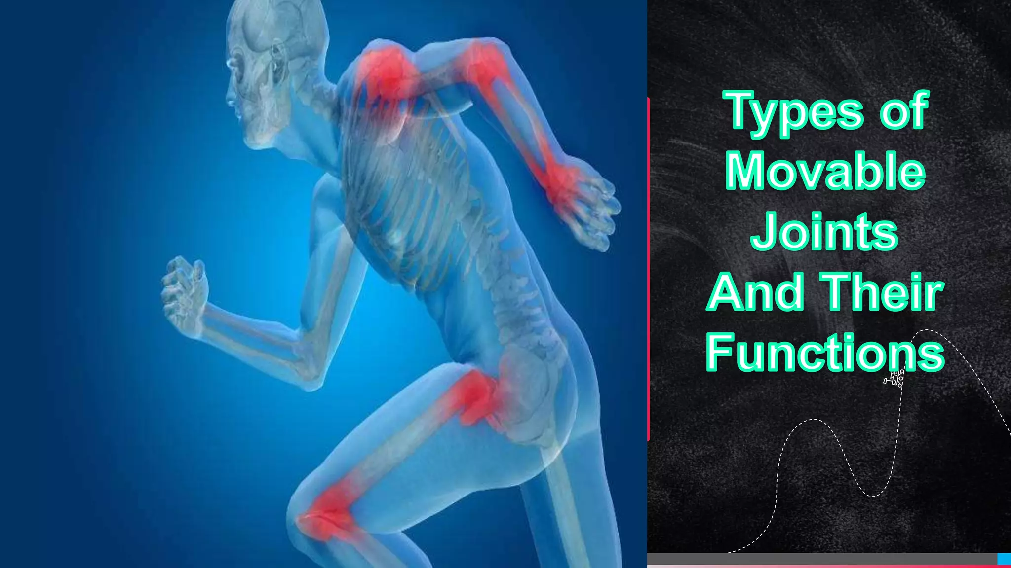 Types of movable joints PPT