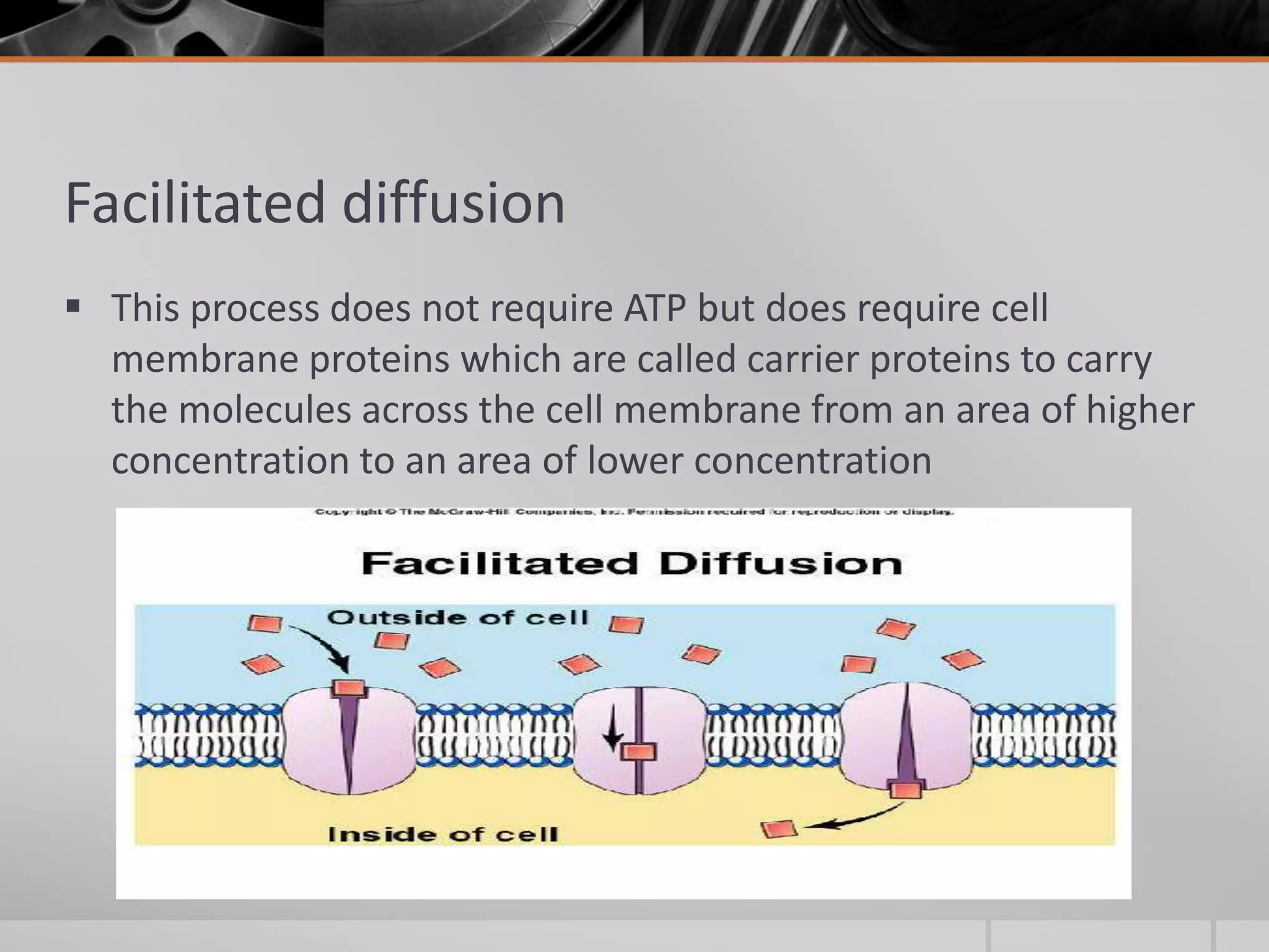Types of movement across the cell membrane | PPTX