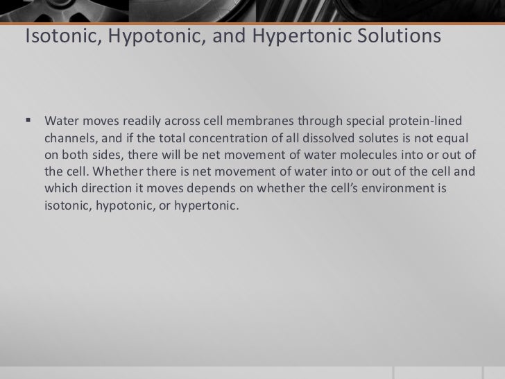 types of movement across the cell membrane movement of water across a membrane