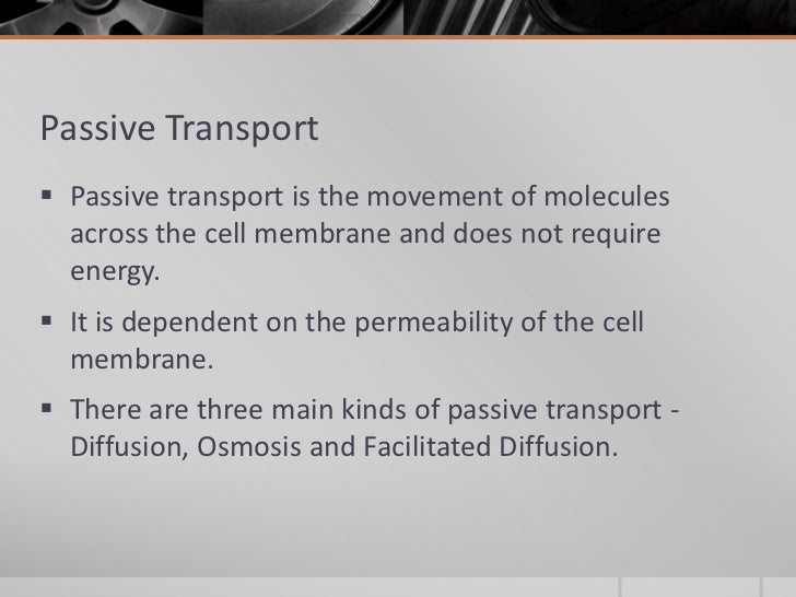 types of cell transport