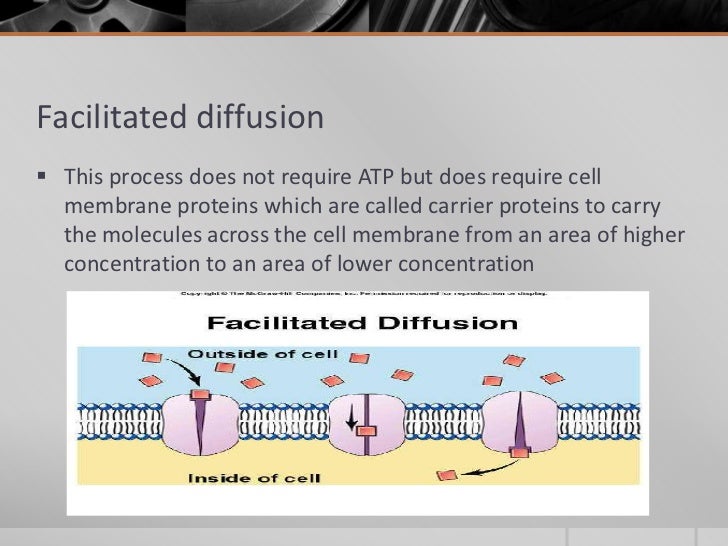 types of movement across the cell membrane movement across the cell membrane