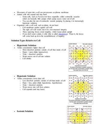 Types of movement across the cell membrane | DOCX