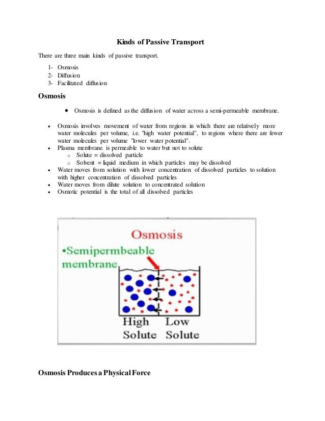 types of movement across the cell membrane movement across the cell membrane