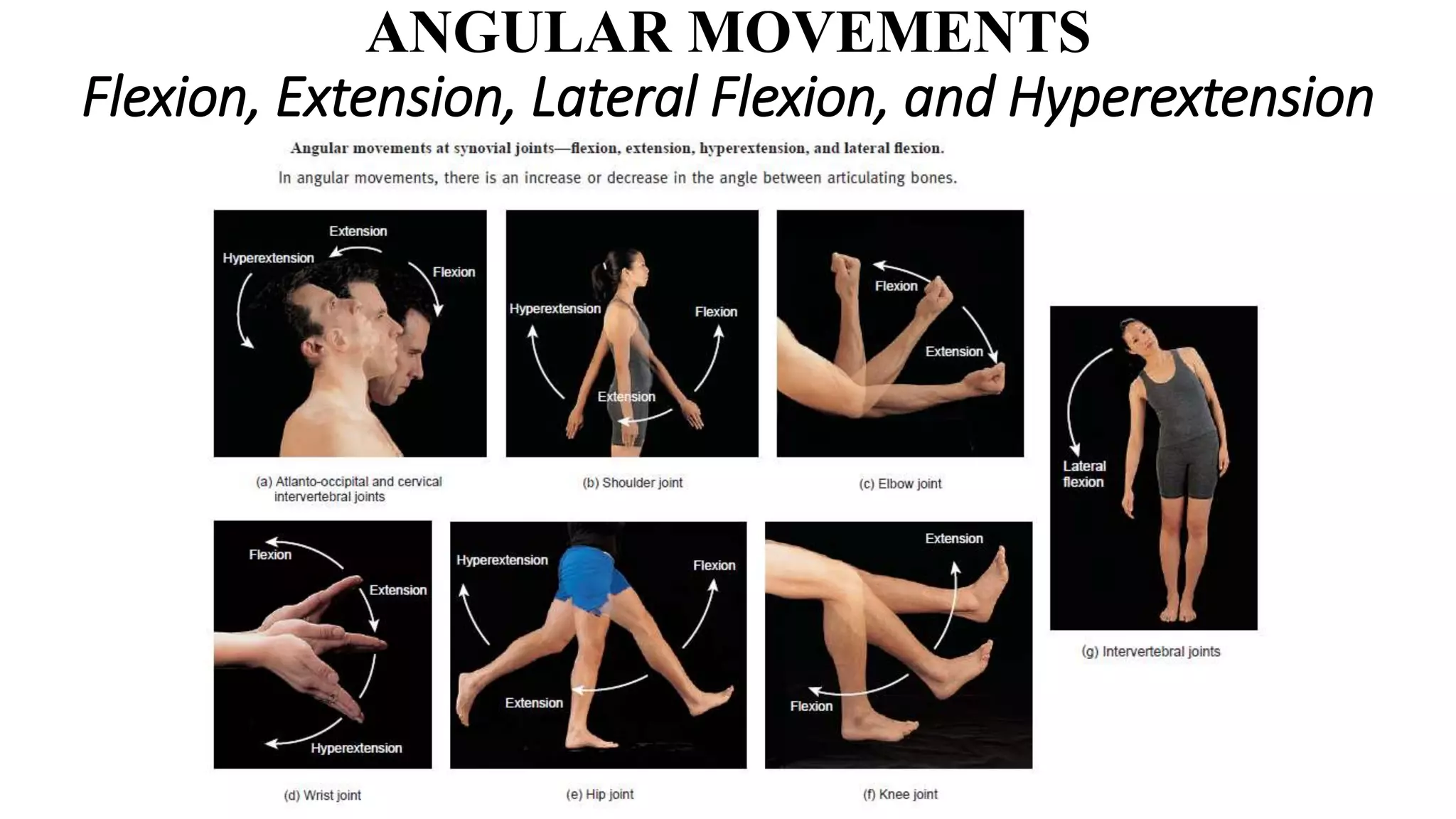 Types Of Joint Movements
