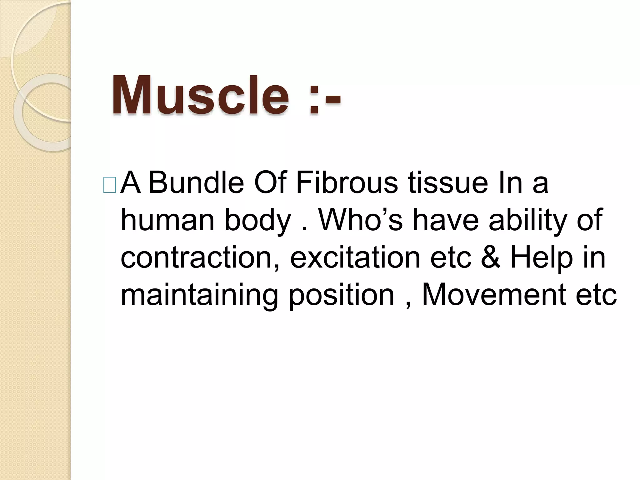 Muscle :-
A Bundle Of Fibrous tissue In a
human body . Who’s have ability of
contraction, excitation etc & Help in
maintaining position , Movement etc