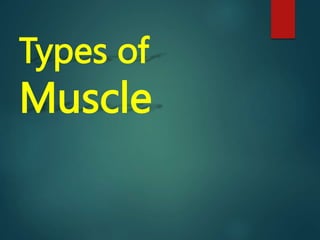 Types of
Muscle
 