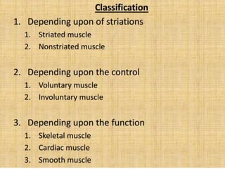 Types of muscles | PPTX