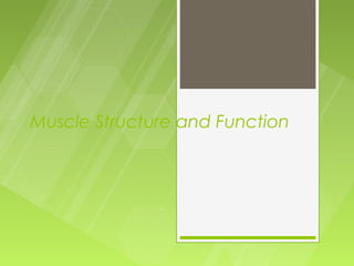 Muscle Structure and Function
 