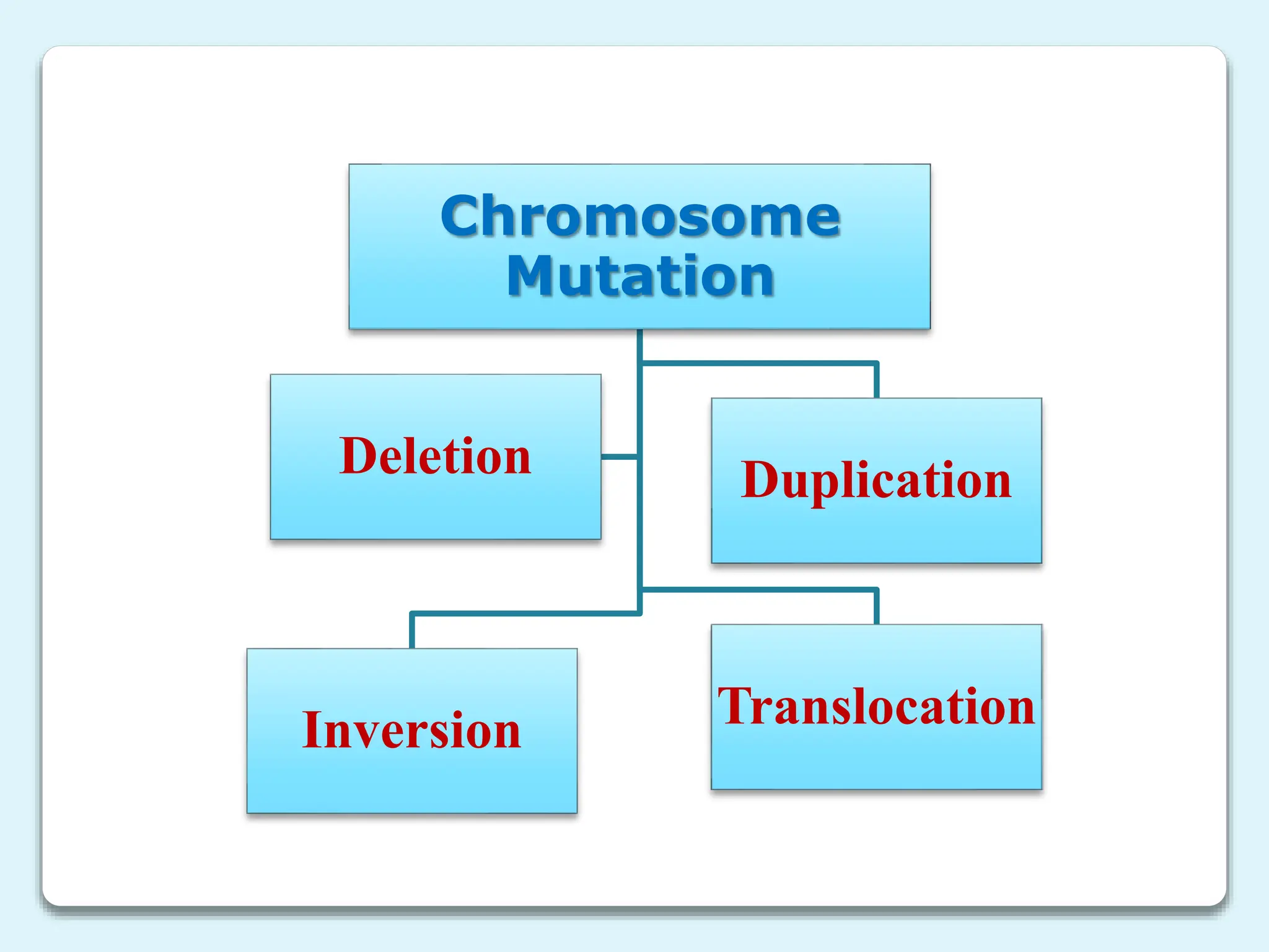 Chromosome
Mutation
Inversion Translocation
Duplication
Deletion
 