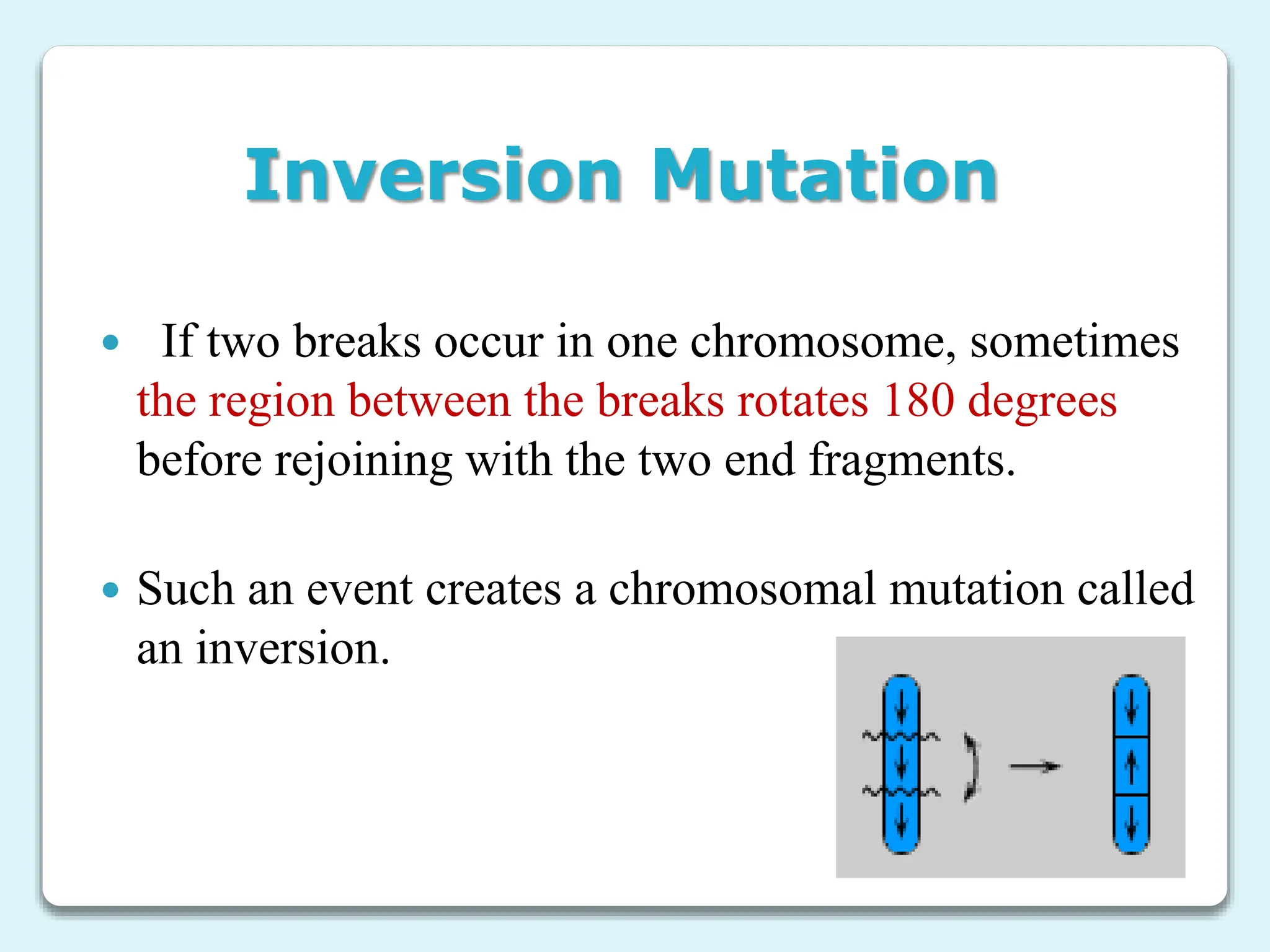 Inversion Mutation
 If two breaks occur in one chromosome, sometimes
the region between the breaks rotates 180 degrees
before rejoining with the two end fragments.
 Such an event creates a chromosomal mutation called
an inversion.
 