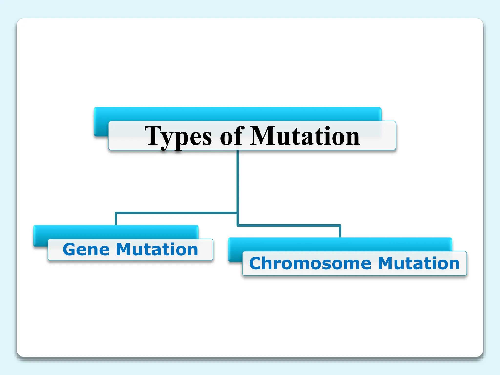 Types of Mutation
Gene Mutation
Chromosome Mutation
 