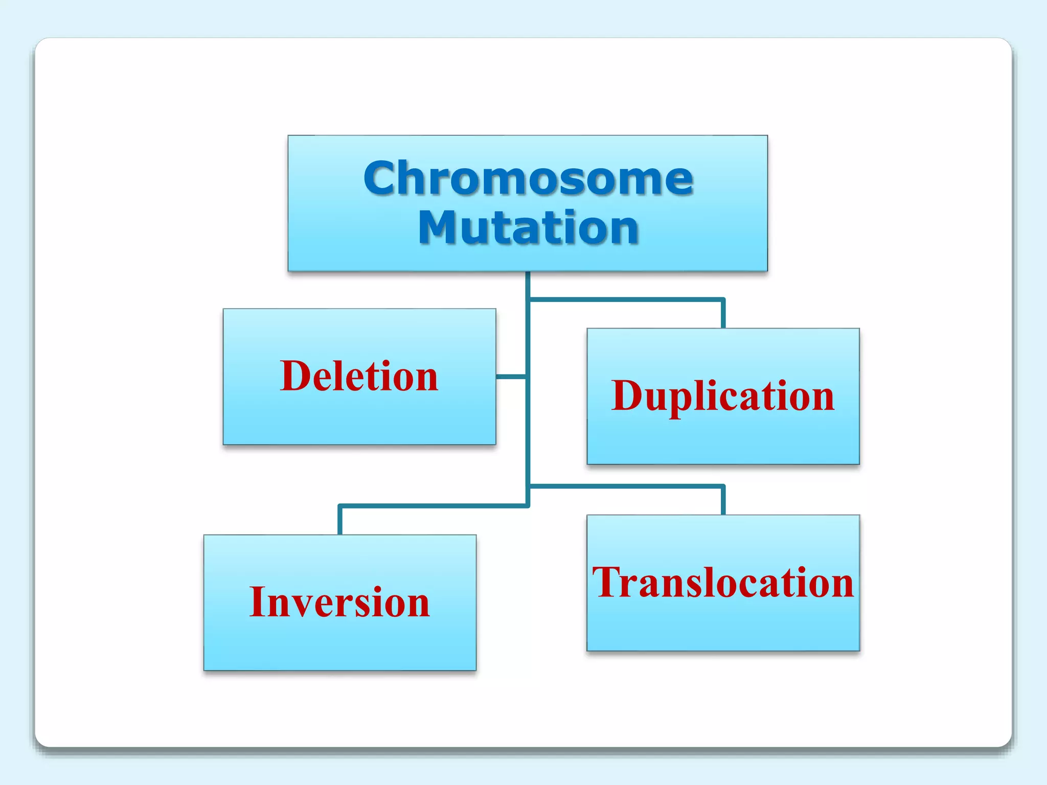 Chromosome
Mutation
Inversion Translocation
DuplicationDeletion
 