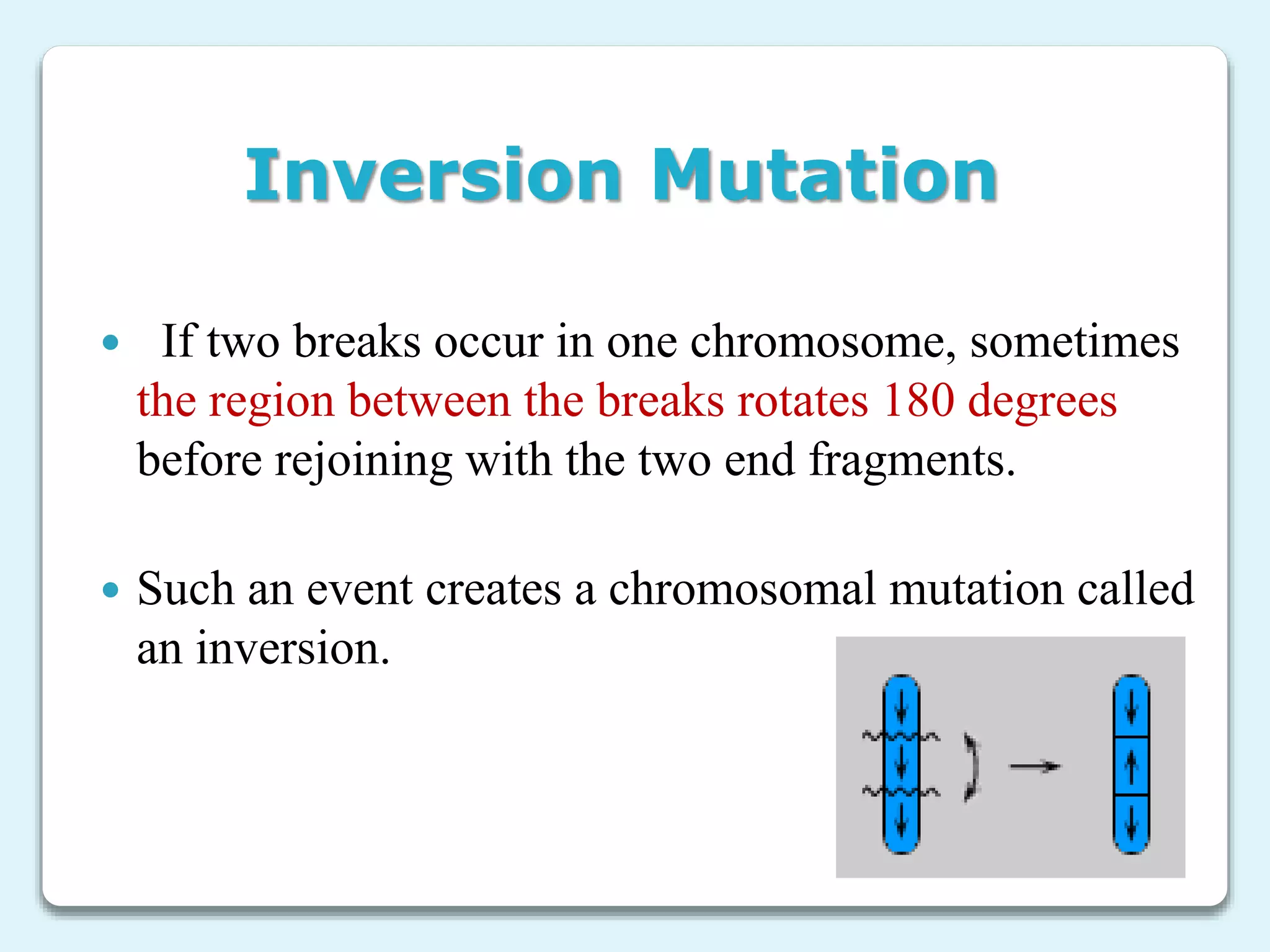 Inversion Mutation
 If two breaks occur in one chromosome, sometimes
the region between the breaks rotates 180 degrees
before rejoining with the two end fragments.
 Such an event creates a chromosomal mutation called
an inversion.
 