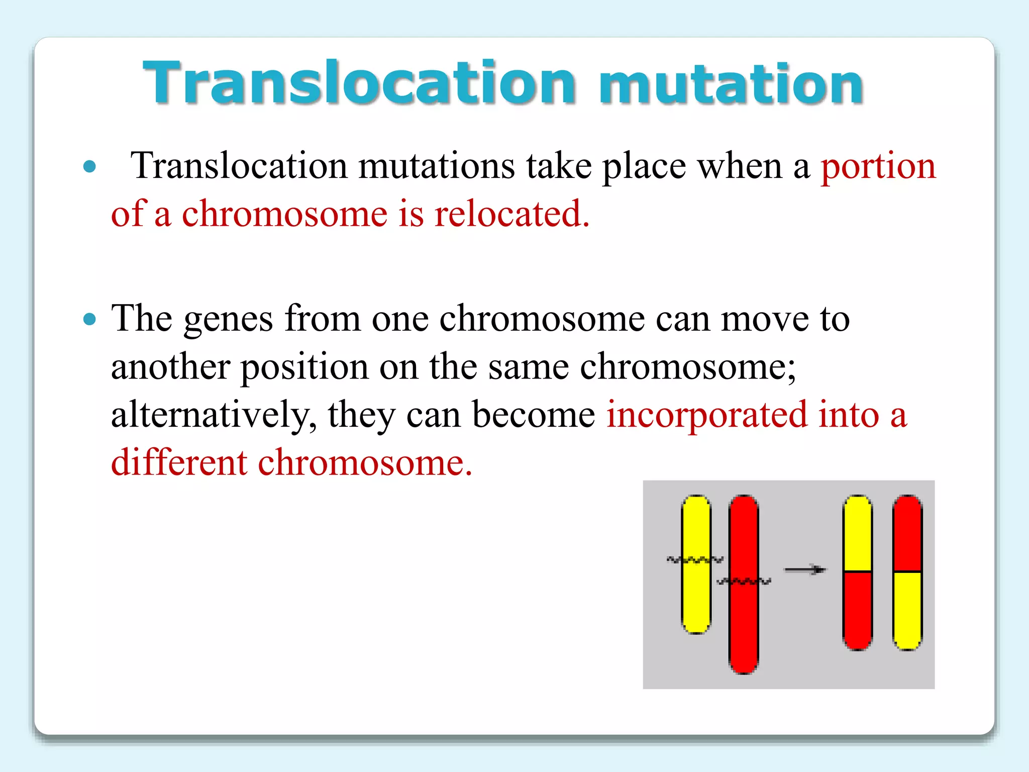 Translocation mutation
 Translocation mutations take place when a portion
of a chromosome is relocated.
 The genes from one chromosome can move to
another position on the same chromosome;
alternatively, they can become incorporated into a
different chromosome.
 