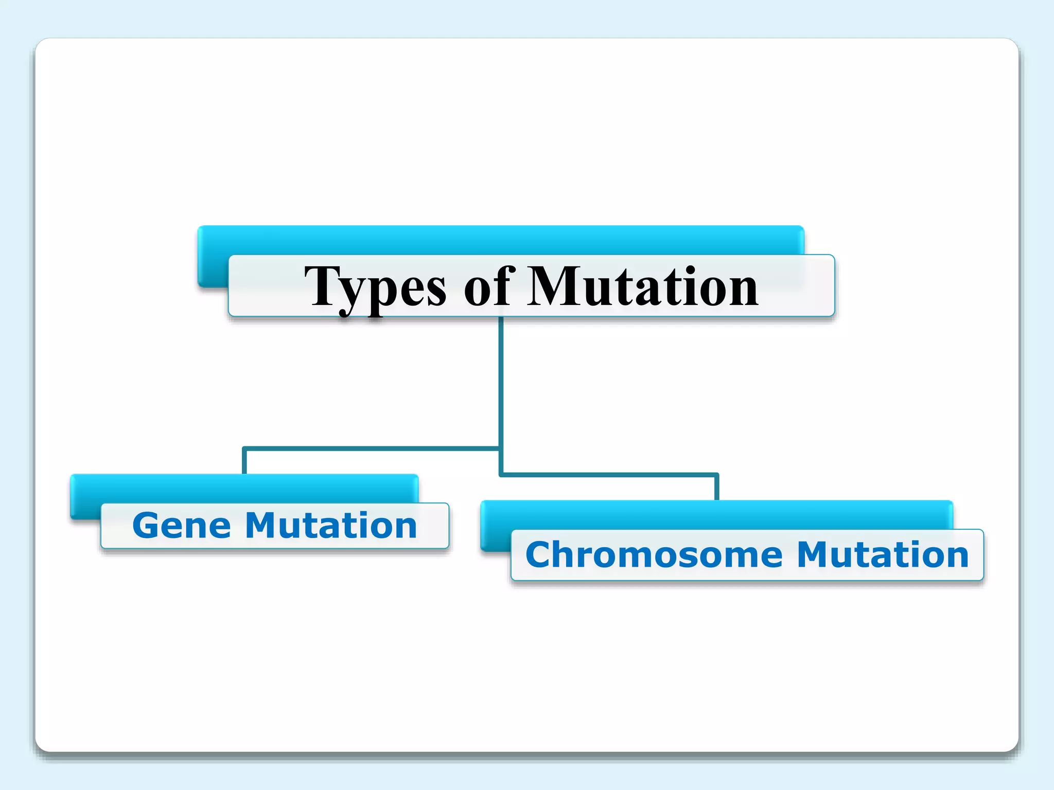 Types of Mutation
Gene Mutation
Chromosome Mutation
 